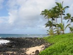 Beach in front of the Sheraton Resort