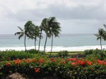 Oceanfront, Hyatt Regency