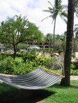 Hyatt Regency