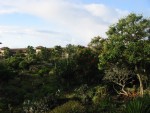 View from our lanai