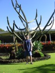 Cactus Gardens, Kiahuna Plantation