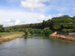 Waimea River