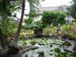 Koi pond, Kiahuna Plantation