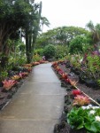 Orchid Gardens, Kiahuna Plantation