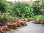 Orchid Gardens, Kiahuna Plantation