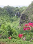 Opaekaa Falls