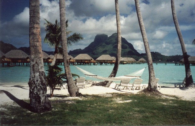 Hammock