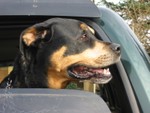Cannon Beach - waiting in the truck while mom and dad eat breakfast