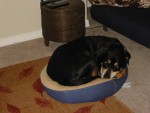 See, I knew I could fit!