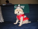 Halloween 2006 - a fire hydrant?