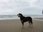 Cannon Beach