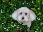 20080614 0028