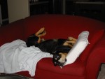 Caught on the couch!