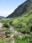 Iao Valley 