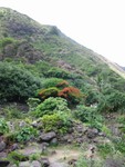 Iao Valley State Park