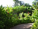 Wailea Resort
