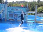 IMG 3503