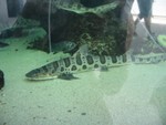 IMG 3538