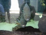IMG 3542