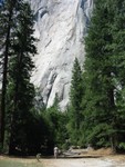 IMG 4535