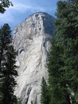 IMG 4537