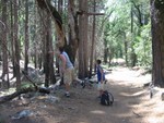 IMG 4538