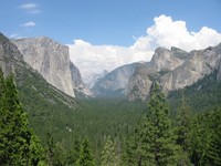 Highlight for Album: YOSEMITE NATIONAL PARK 2006