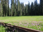 IMG 4572